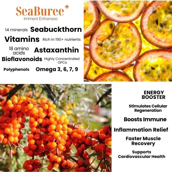 Immeni Enhanseo - Image 4